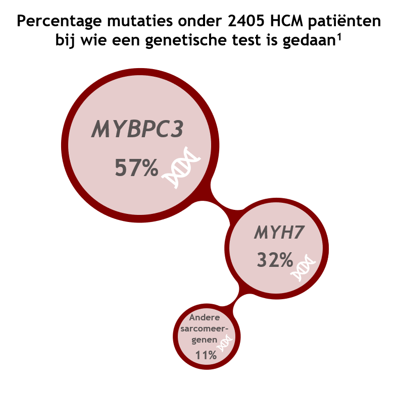 sarcomeermutaties HCM