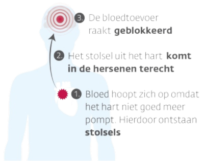 Untitled design_0 1.png